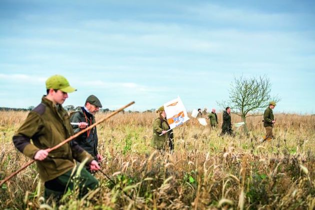 The origins of driven shooting