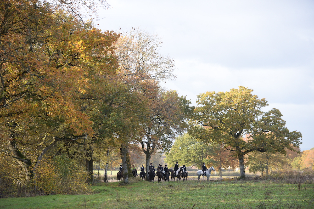 Anti-hunting bodies angered by conviction quashing for former director of Hunting Office