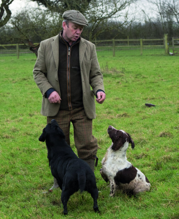 Working with gundog 