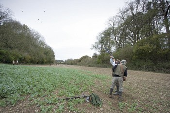 Game shooting in Wrackleford, Dorset