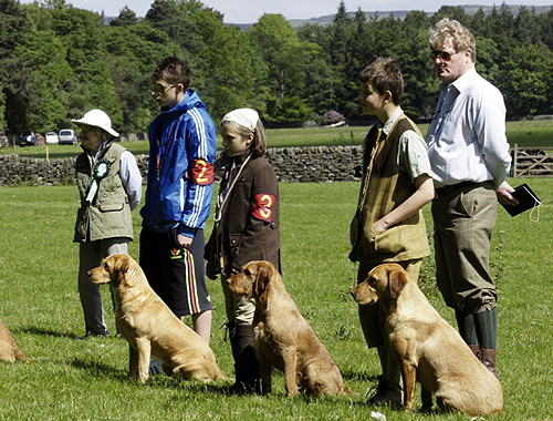Will a poor gundog test affect my Working Gundog Certificate?