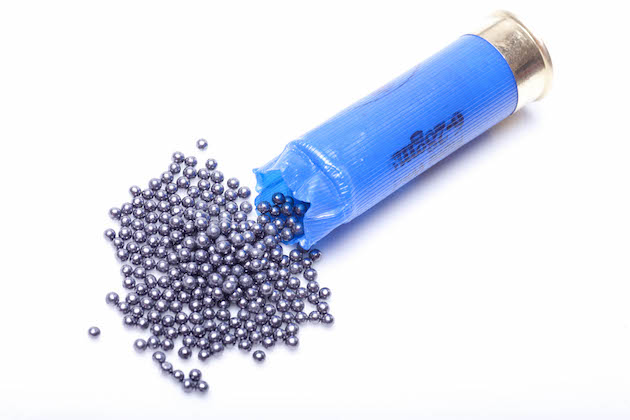 lead shotgun pellets