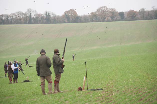 Driven shooting