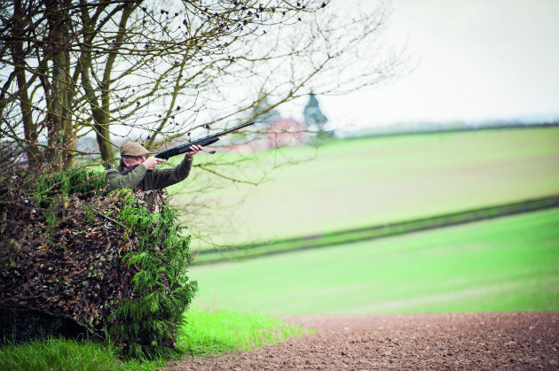 Cartridges for the pigeon shooter &#8211; what&#8217;s best for you and your gun ?