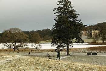 Baronscourt shoot