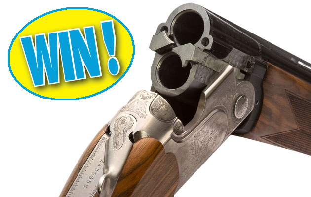 Win a Beretta 690 Field III