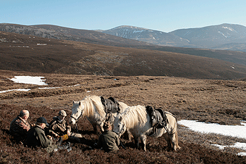 Wildlife and habitat management in Scotland
