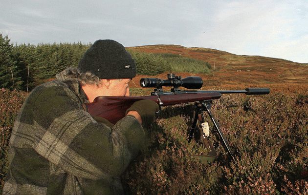 Survey confirms deer culling best practice