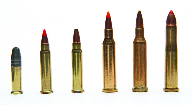 Which are the best cartridges for vermin?