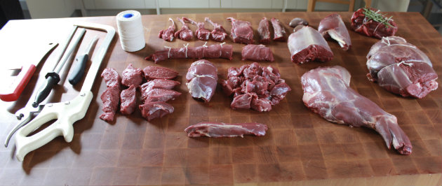 Butchered venison 