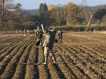 Caldecote shoot