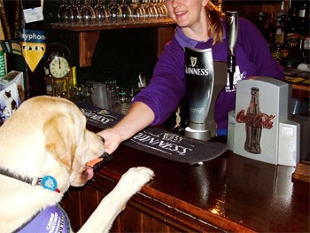Clay Pigeon shoot for Canine Partners raises £35,000