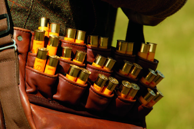 cartridge bag
