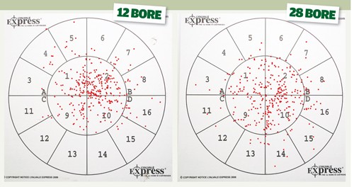 cartridge pattern at 20 yards