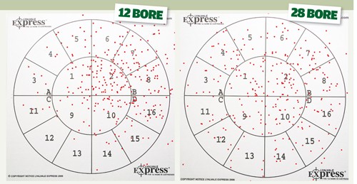 cartridge pattern at 30 yards
