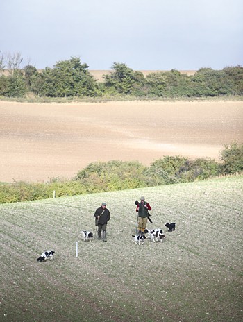 Little Chesterford Shoot