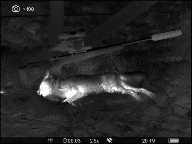 thermal imaging 