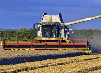 Shooting industry concern over soaring wheat prices