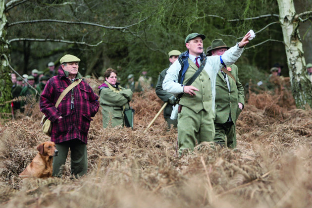 dog training hand signals