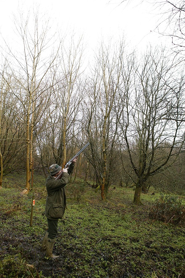 The Cotleigh shoot