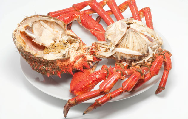 Hook, line and pincher: crab from pier to plate