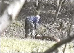 Mismanagement claims hang over Baronsdown deer