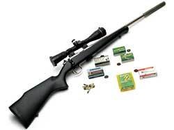 CZ Style .22LR rifle