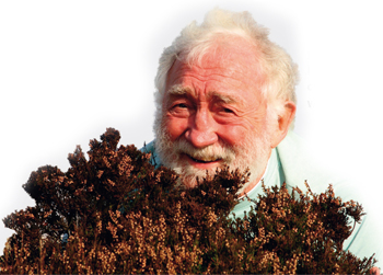 Gamekeeper from Kent wins first Bellamy trophy