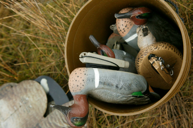 Decoy ducks