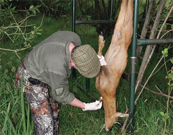 What&#8217;s the easiest way to bleed a deer?