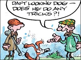 Dog has a greedy talent