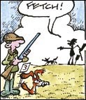 Sheepdog troubles