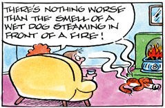 Steaming dog