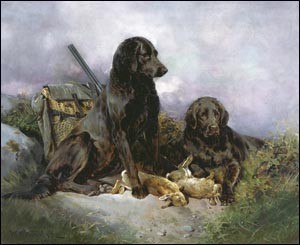 Changing faces of gundogs