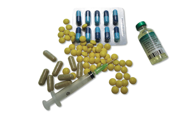 Why doping to win gundog trials is never worth the risk