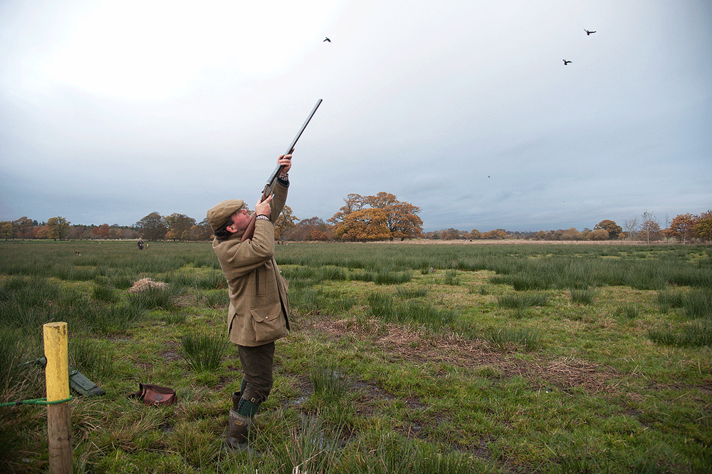 Shoot of the week: Scaleby Castle