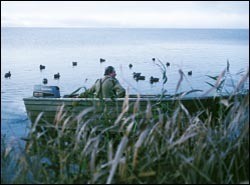 New BASC wildfowling booklet