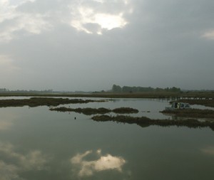 Meet the Little Oakley and District Wildfowlers&#8217; Association