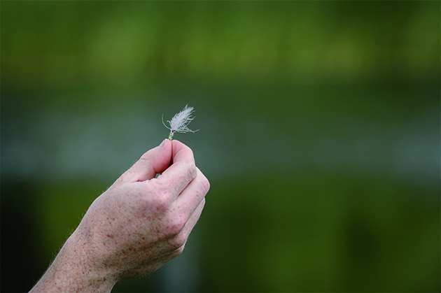 tie fishing flies with dog hair