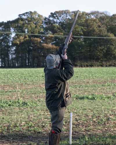How do we get pheasants to fly towards the guns?