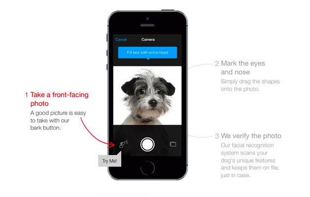 Free Finding Rover app connects lost dogs with owners