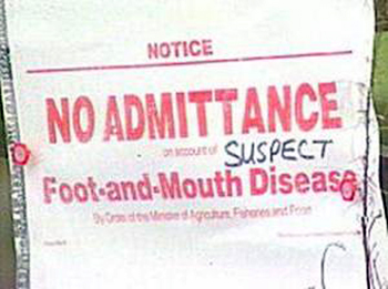 New suspected case of foot and mouth disease