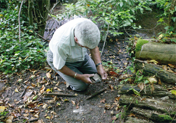 Shooting &amp; keeping create land ‘teeming with wildlife’