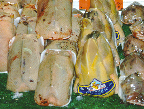 Shoots to provide game meat for struggling families this season