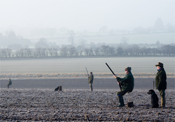 10 GOLDEN RULES for setting up a new shoot!