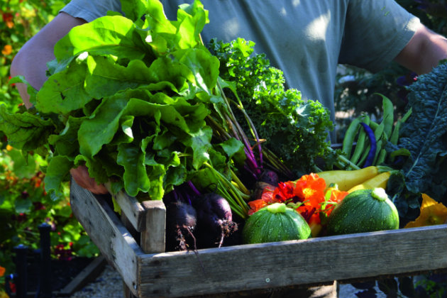 fresh produce at The Pig Hotel 