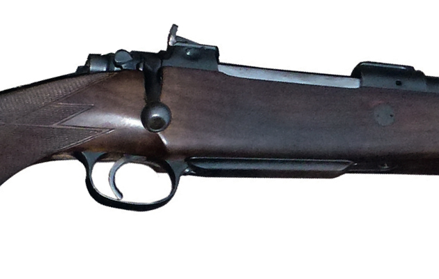 No reason not to use open sights on deer