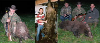 Giant wild boar shot in Herefordshire countryside