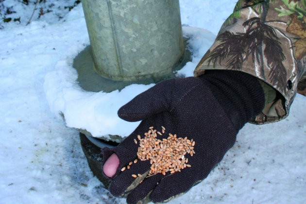 grain station 