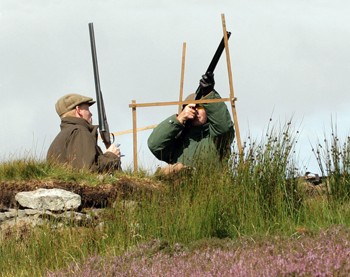 Grouse shooting in the UK &#13;
has a bumper season